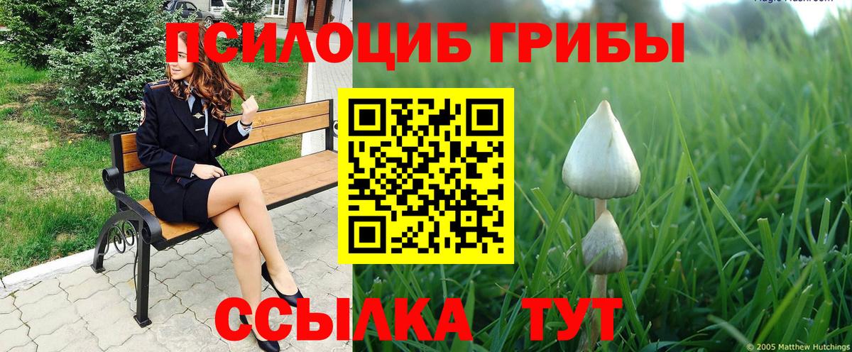 Канаш  купить   Вход с VPN  Галлюциногенные грибы Psilocybine cubensis 
