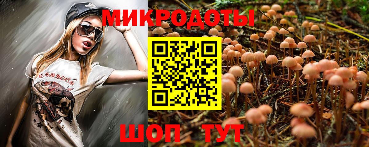 Галлюциногенные грибы Psilocybine cubensis Канаш